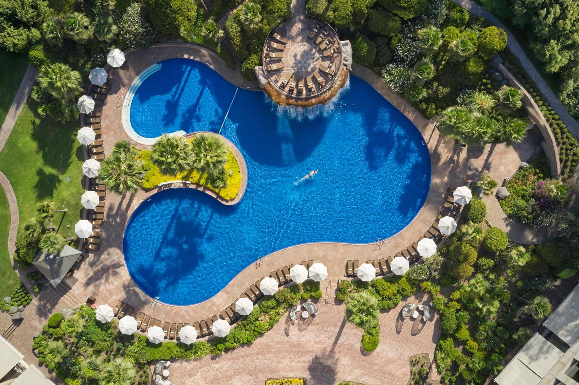 แมนดาริน โอเรียนเต็ล ซานติอาโก Hotel ภายนอก รูปภาพ The swimming pool at the hotel